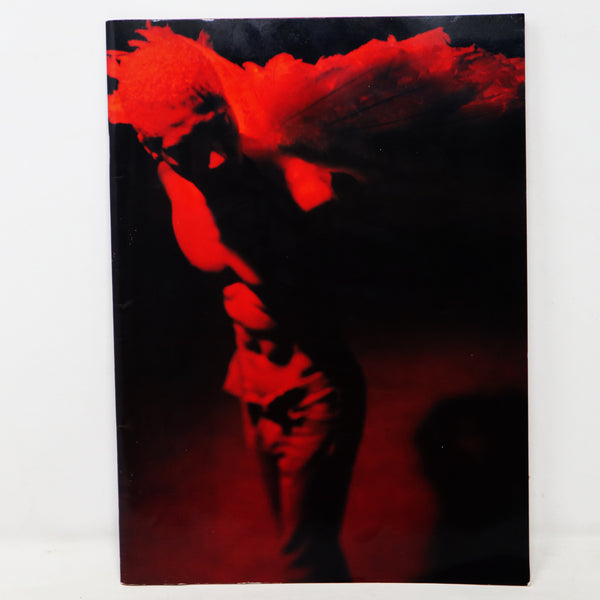 Vintage Terrence Trent D'Arby TTD's Sananda Maitreya Vibrator World Tour 1995 Concert Programme Program Book + The Labatts Apollo Ticket Stub Rare
